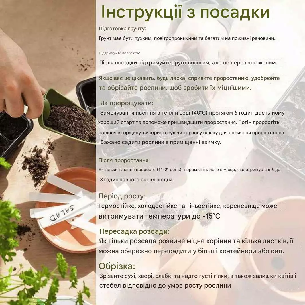 presentation_pic_1